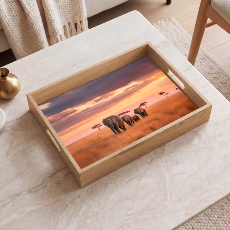 Dienblad - Groep olifanten - Open vlakte - Zon — 2