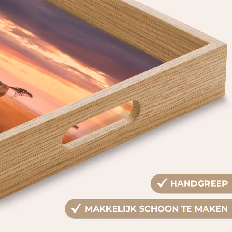 Dienblad - Groep olifanten - Open vlakte - Zon — 5