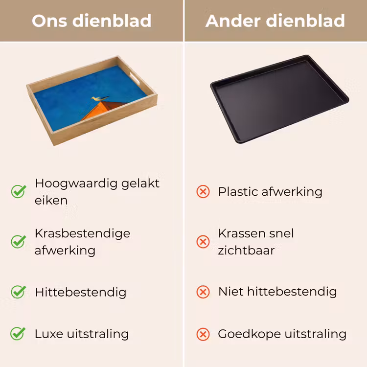 Dienblad - Meeuw - Gebouw - Lucht - Geschilderd — 3