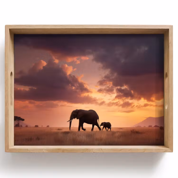 Dienblad - Olifanten - Grasland - Zonsondergang — 1