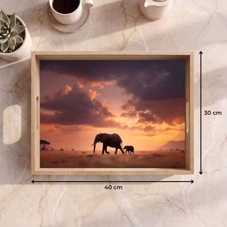 Dienblad - Olifanten - Grasland - Zonsondergang — 9