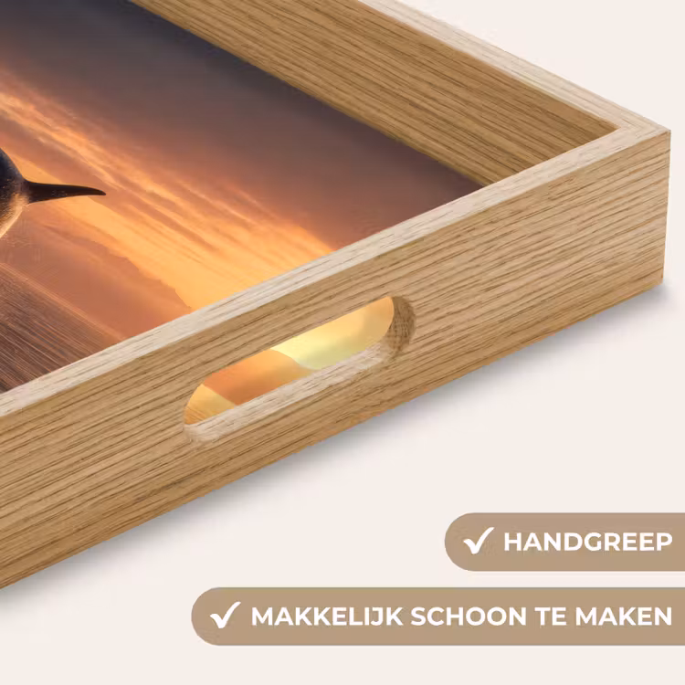 Dienblad - Orka - Zee - Zonsondergang — 5