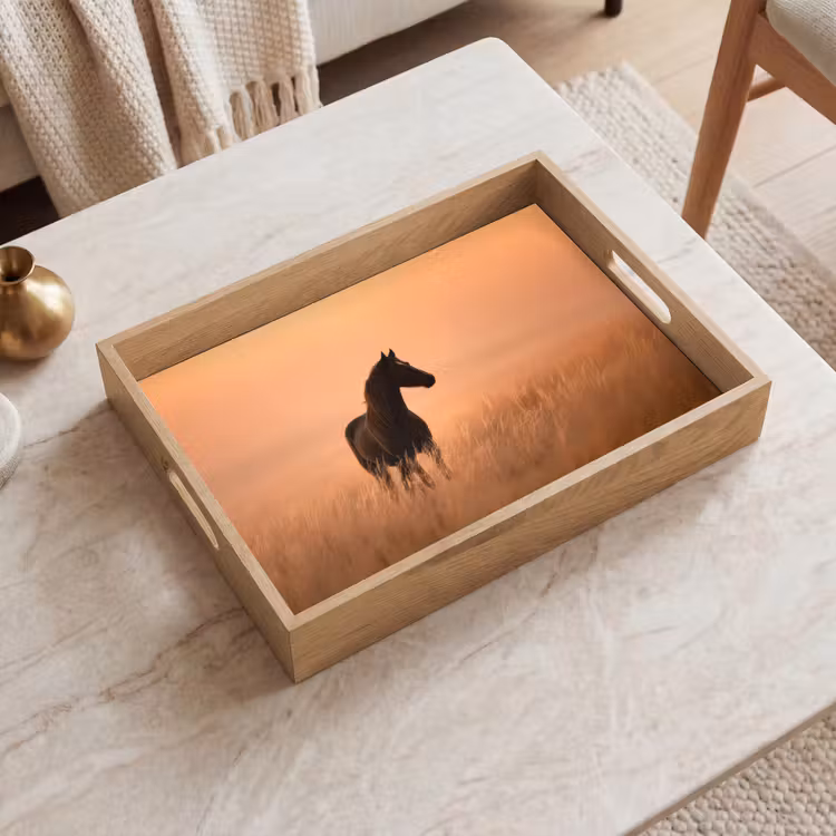 Dienblad - Paard - Grasveld - Zonsondergang — 2