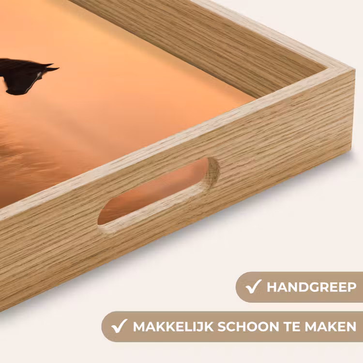 Dienblad - Paard - Grasveld - Zonsondergang — 5