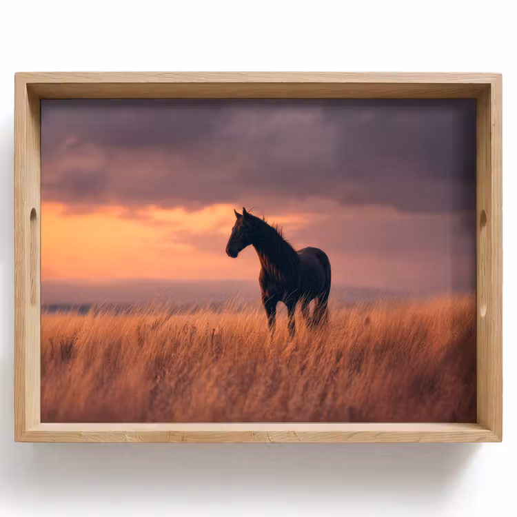 Dienblad - Paard - Wolken - Open veld — 1