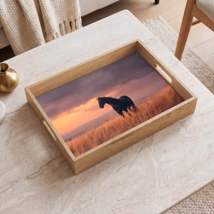 Dienblad - Paard - Wolken - Open veld — 2
