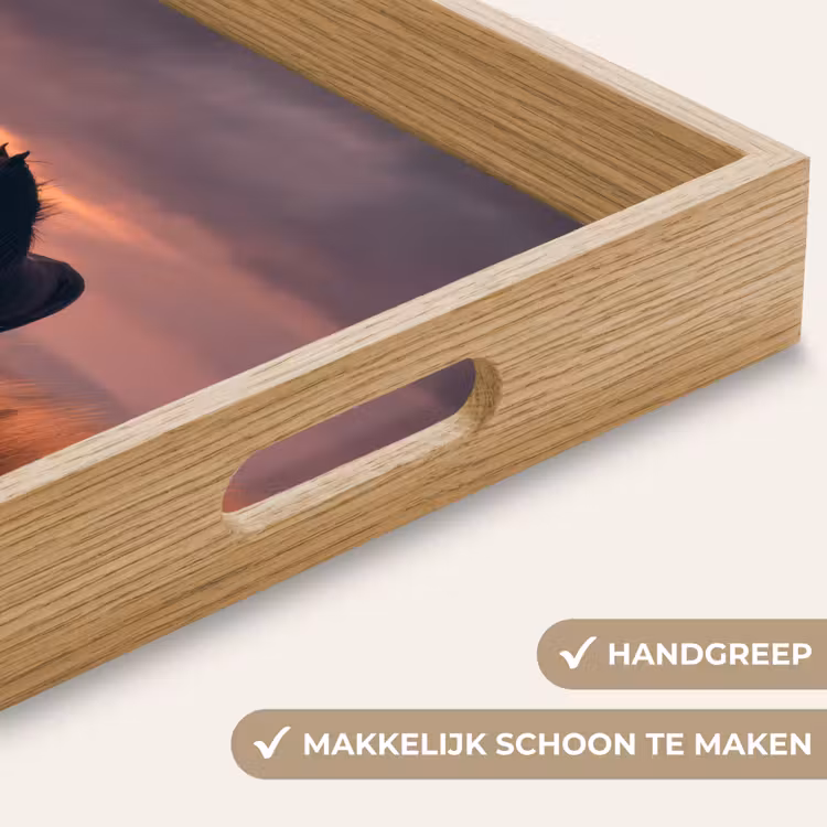 Dienblad - Paard - Wolken - Open veld — 5