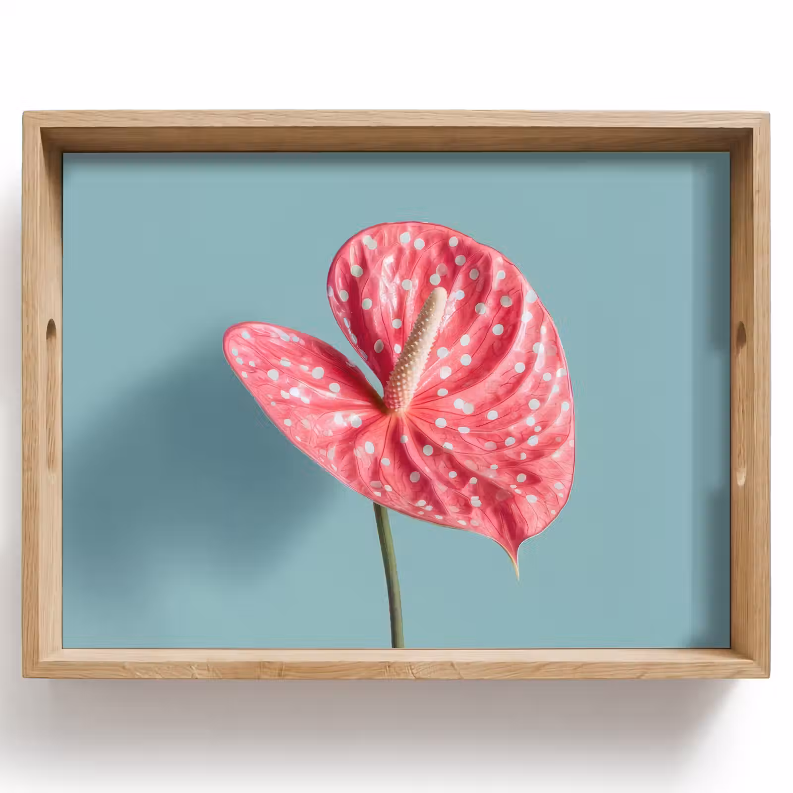Dienblad - Blad - Anthurium - Stippen - Roze — 1