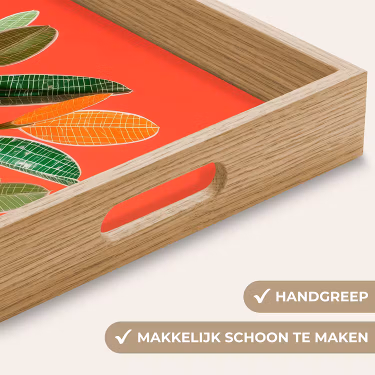 Dienblad - Bladeren - Nerven - Oranje - Structuur — 5