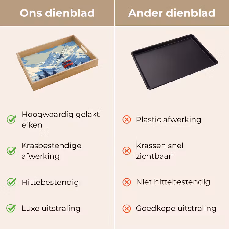 Dienblad - Kabelbaan - Sneeuw - Berglandschap — 3