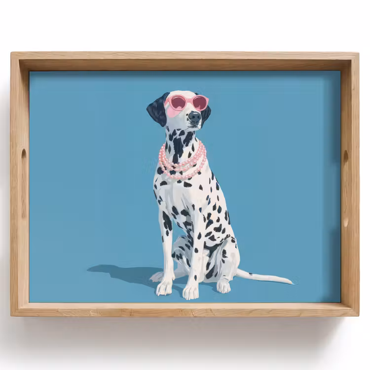 Dienblad - Dalmatiër - Zonnebril - Blauw — 1