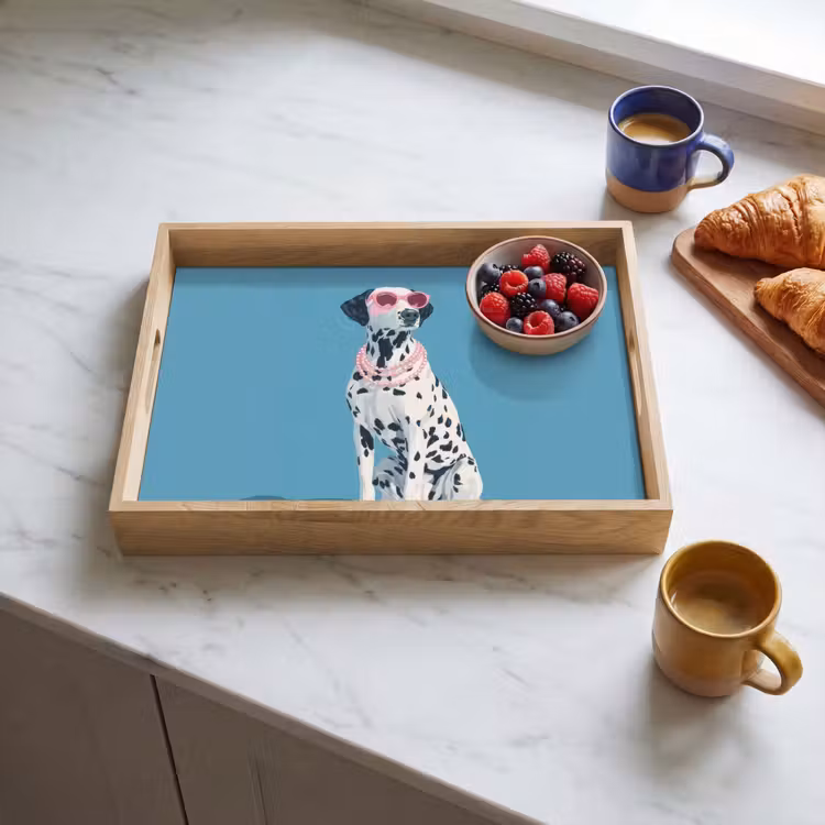 Dienblad - Dalmatiër - Zonnebril - Blauw — 4