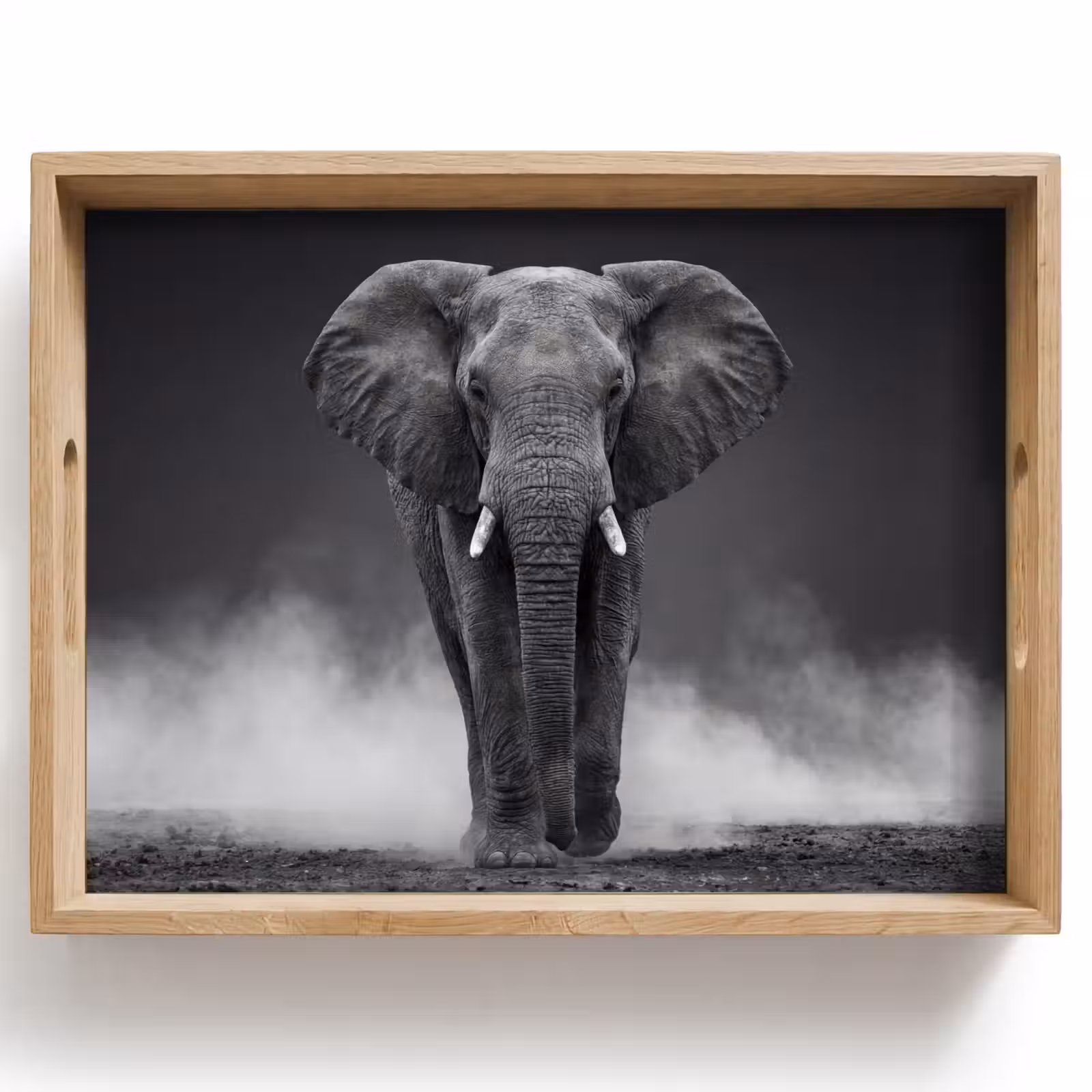 Dienblad - Olifant - Zwart - Wit - Rook — 1