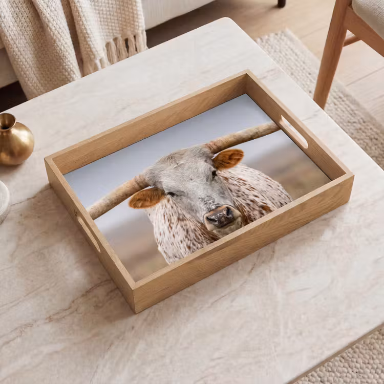 Dienblad - Longhorn - Grasveld - Dier — 2