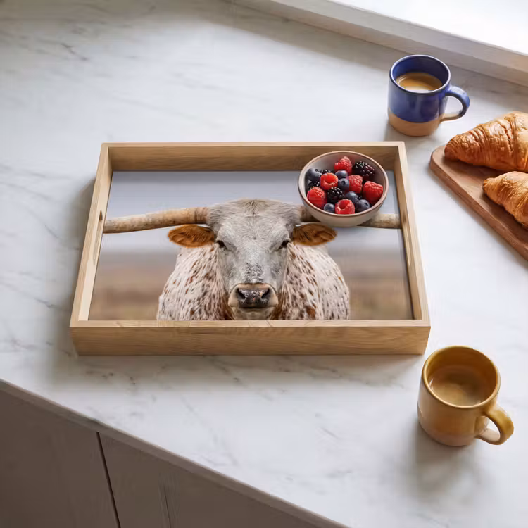 Dienblad - Longhorn - Grasveld - Dier — 4