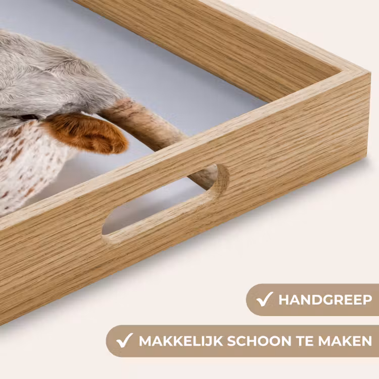 Dienblad - Longhorn - Grasveld - Dier — 5