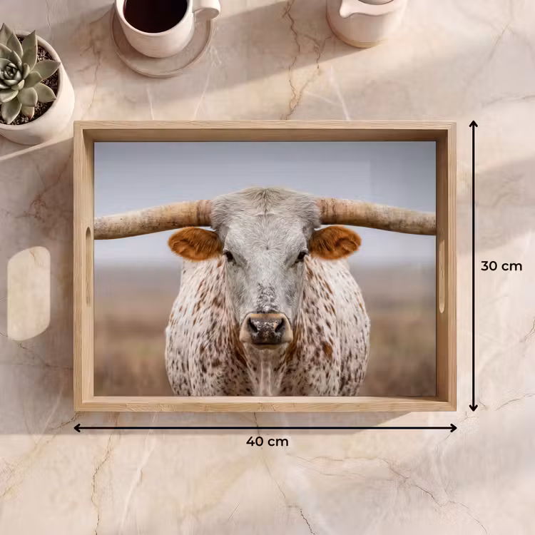 Dienblad - Longhorn - Grasveld - Dier — 9