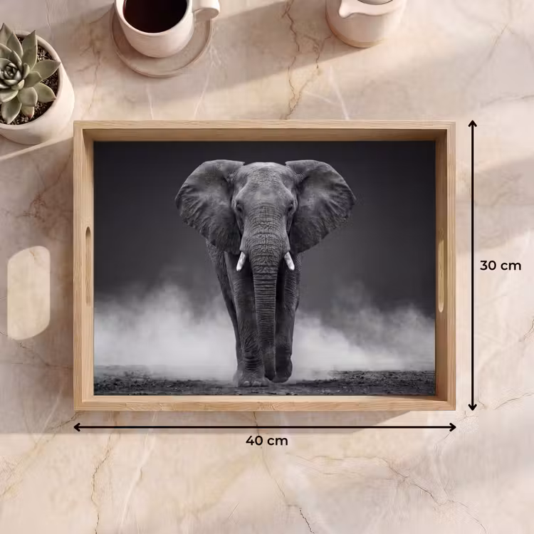 Dienblad - Olifant - Zwart - Wit - Rook — 9