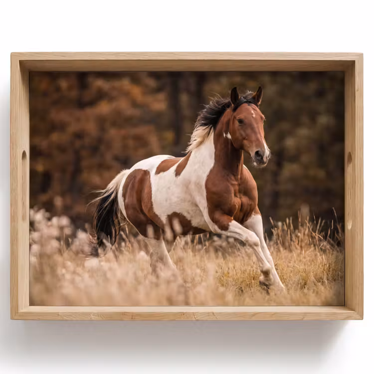 Dienblad - Paard - Bruin - Gras — 1