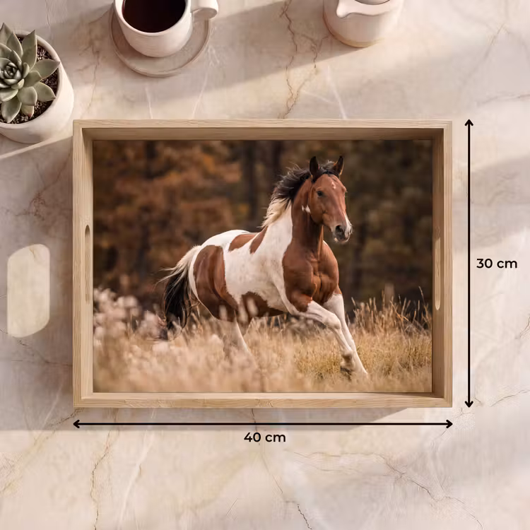 Dienblad - Paard - Bruin - Gras — 9