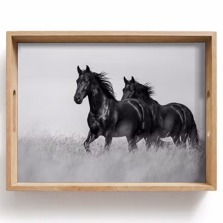 Dienblad - Paarden - Gras - Zwart - Wit — 1