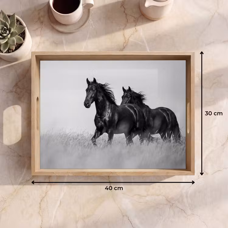 Dienblad - Paarden - Gras - Zwart - Wit — 9