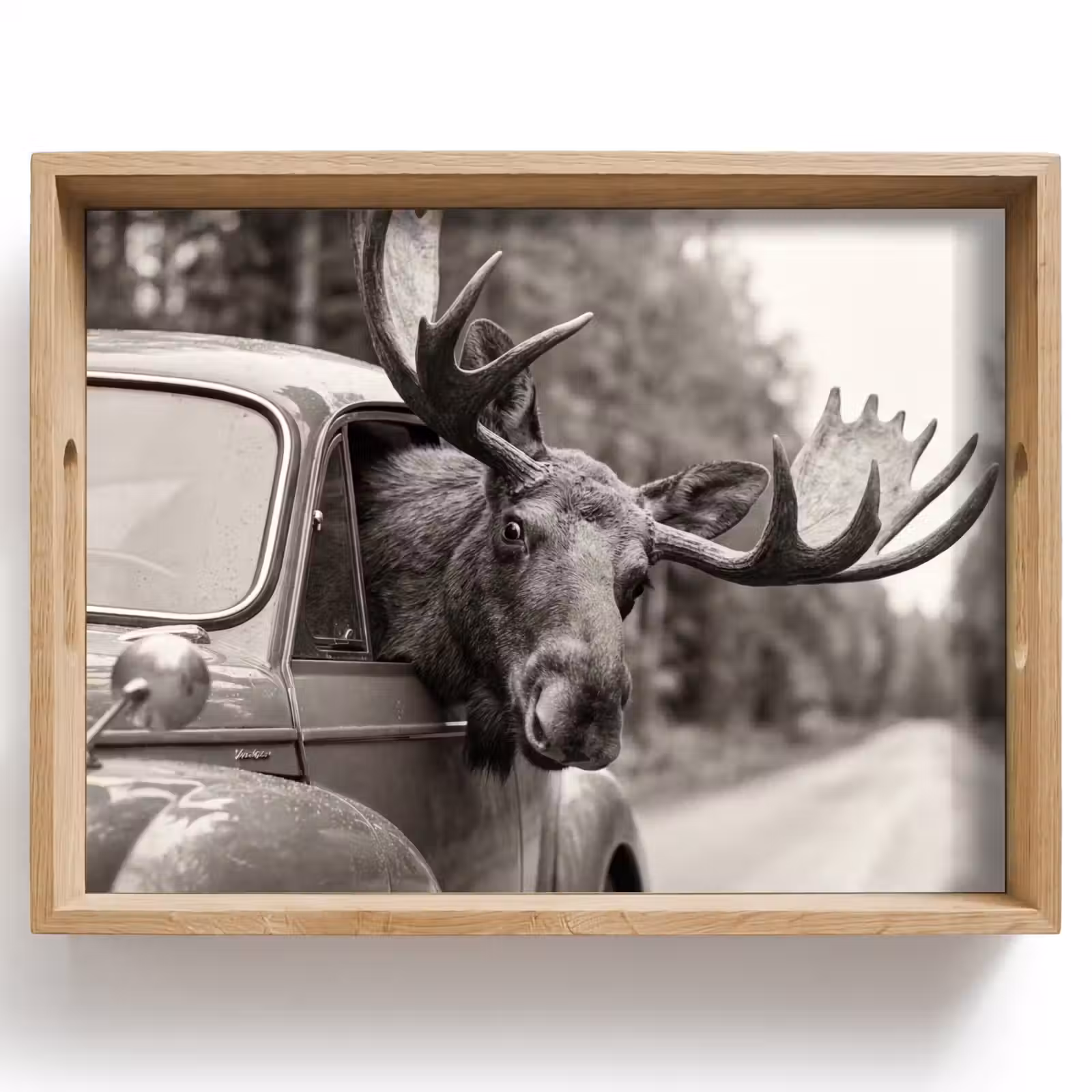 Dienblad - Eland - Auto - Gewei - Zwart - Wit — 1