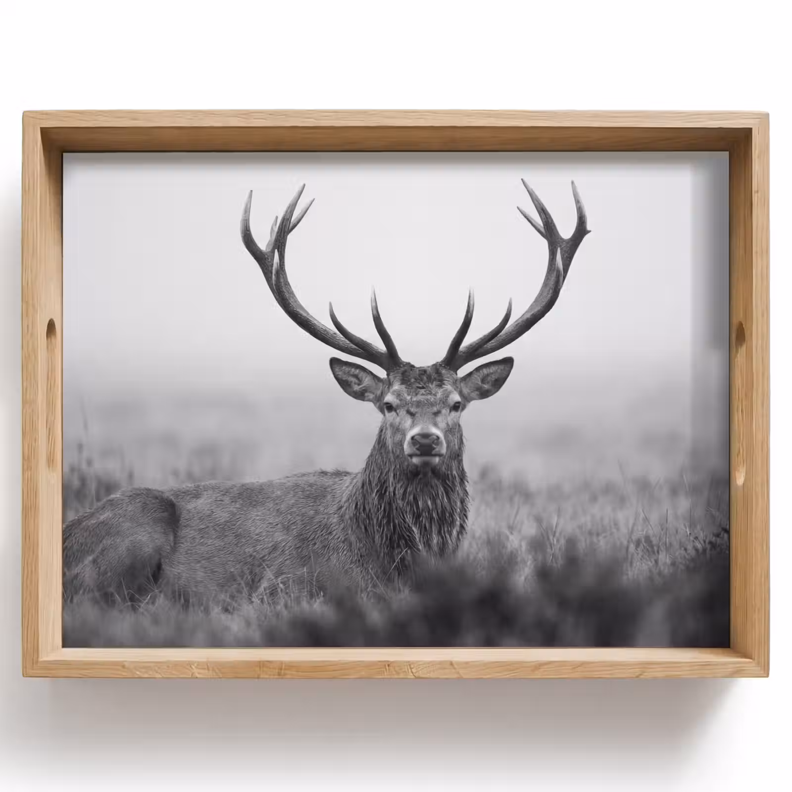 Dienblad - Hert - Mistig - Zwart - Wit — 1