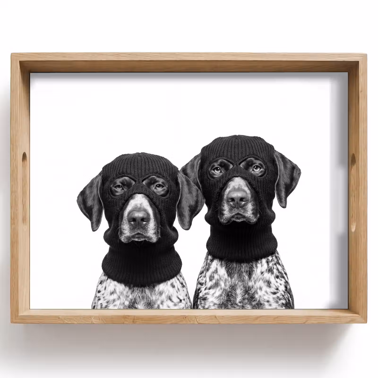 Dienblad - Honden - Bivakmuts - Zwart - wit — 1