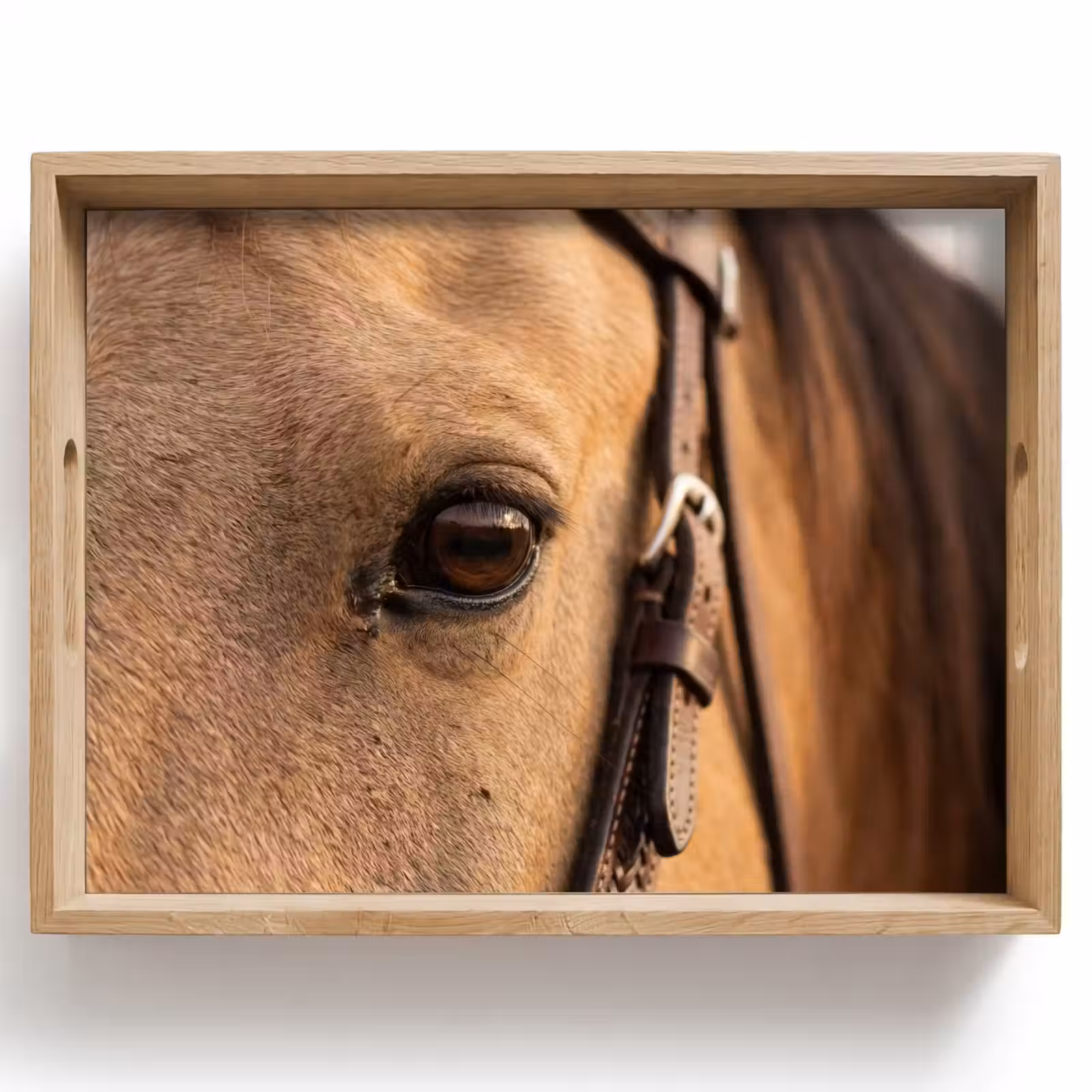 Dienblad - Paard - Oog - Bruin — 1