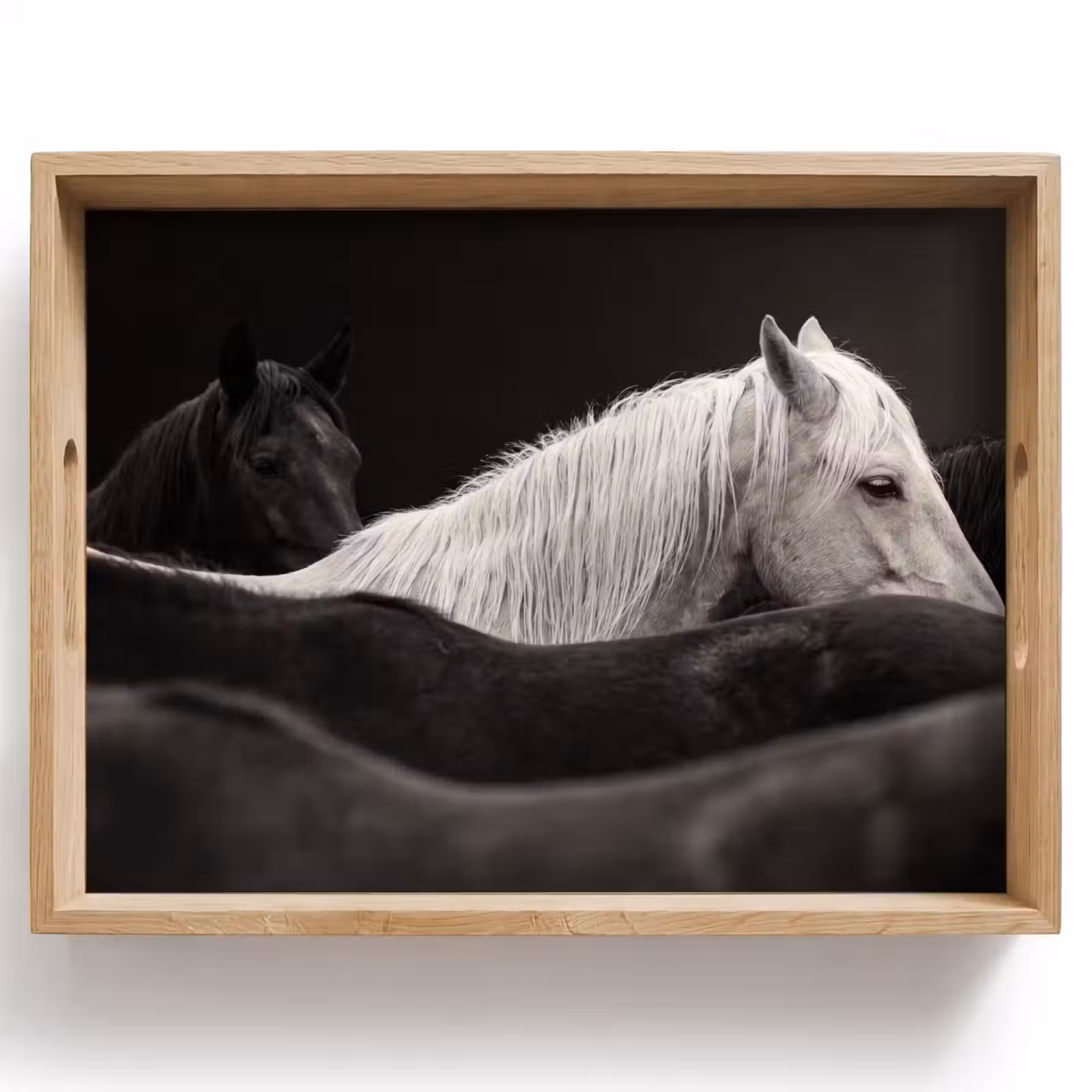 Dienblad - Paarden - Zwart - Wit - Kudde — 1