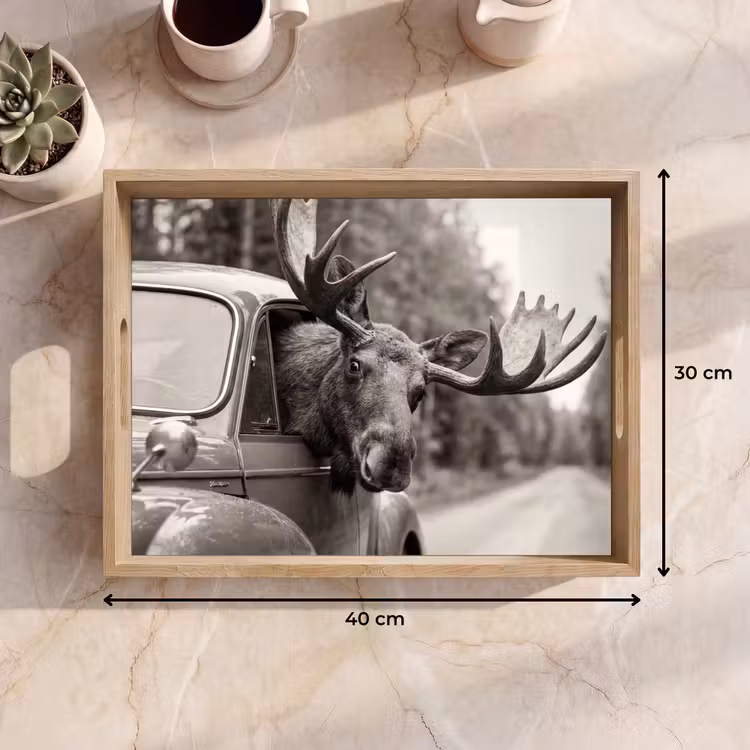 Dienblad - Eland - Auto - Gewei - Zwart - Wit — 9