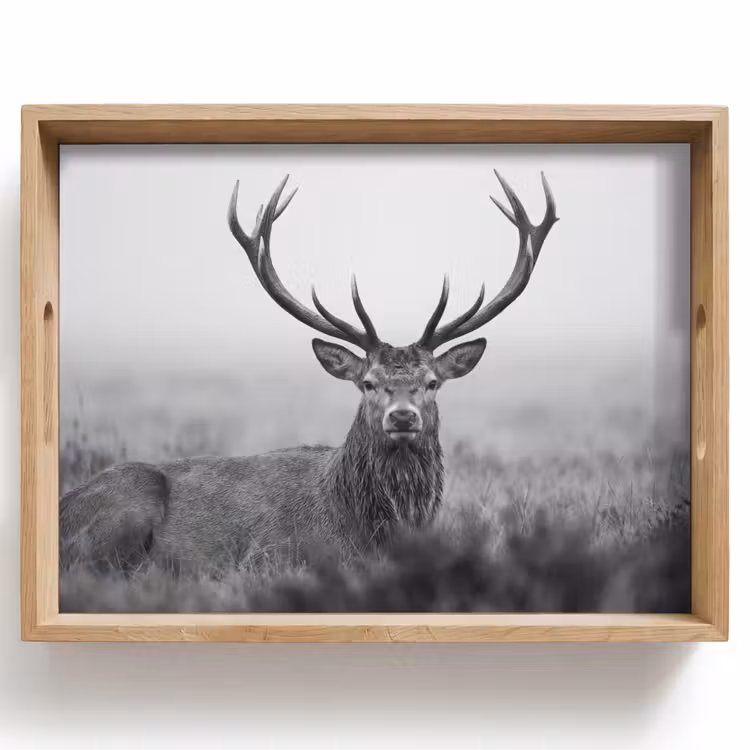 Dienblad - Hert - Mistig - Zwart - Wit — 1