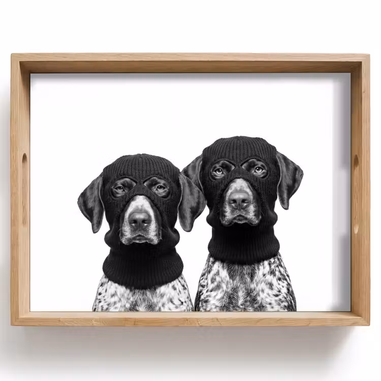 Dienblad - Honden - Bivakmuts - Zwart - wit — 1