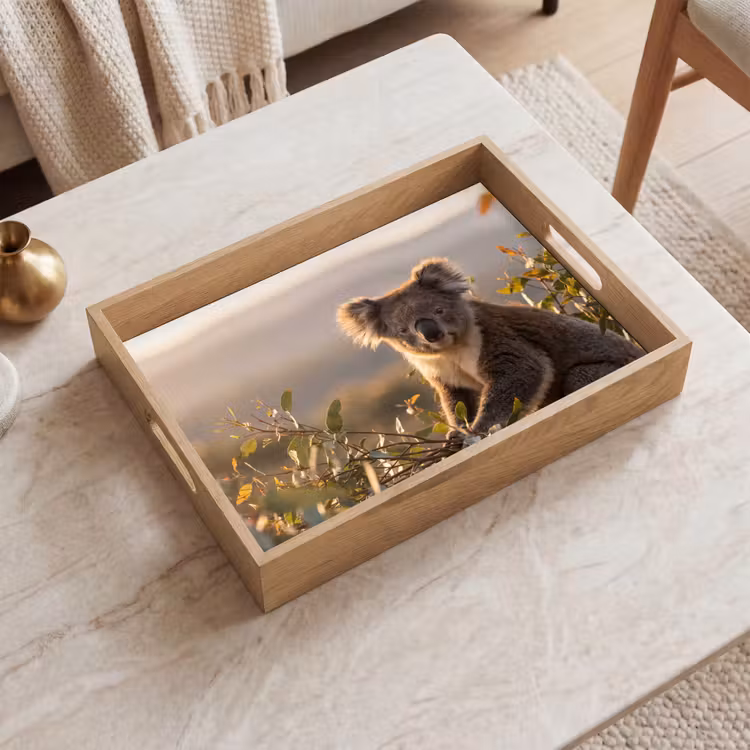Dienblad - Koala - Bladeren - Ochtendlicht — 2