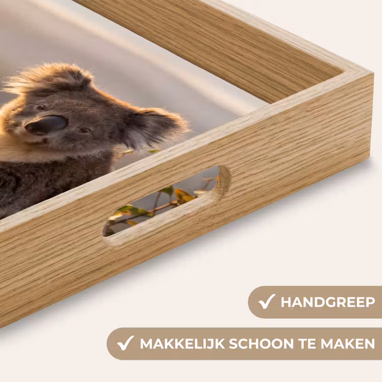 Dienblad - Koala - Bladeren - Ochtendlicht — 5