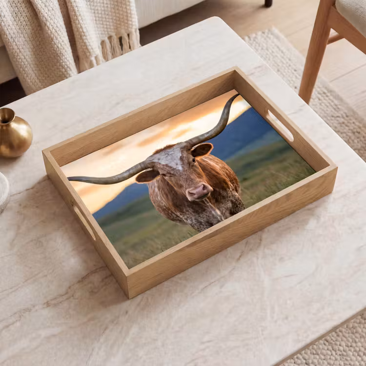 Dienblad - Longhorn - Landschap - Zonsondergang — 2