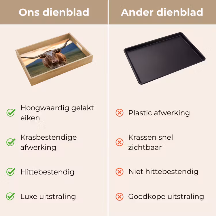 Dienblad - Longhorn - Landschap - Zonsondergang — 3