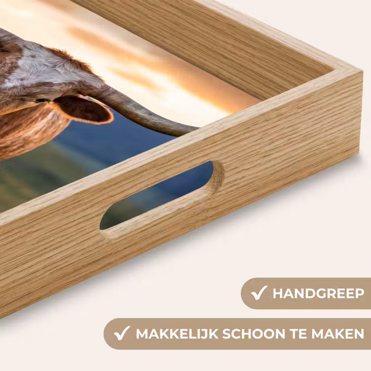 Dienblad - Longhorn - Landschap - Zonsondergang — 5