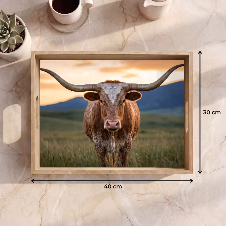 Dienblad - Longhorn - Landschap - Zonsondergang — 9