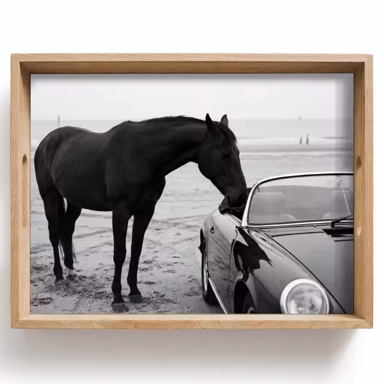 Dienblad - Paard - Auto - Zwart - Wit — 1