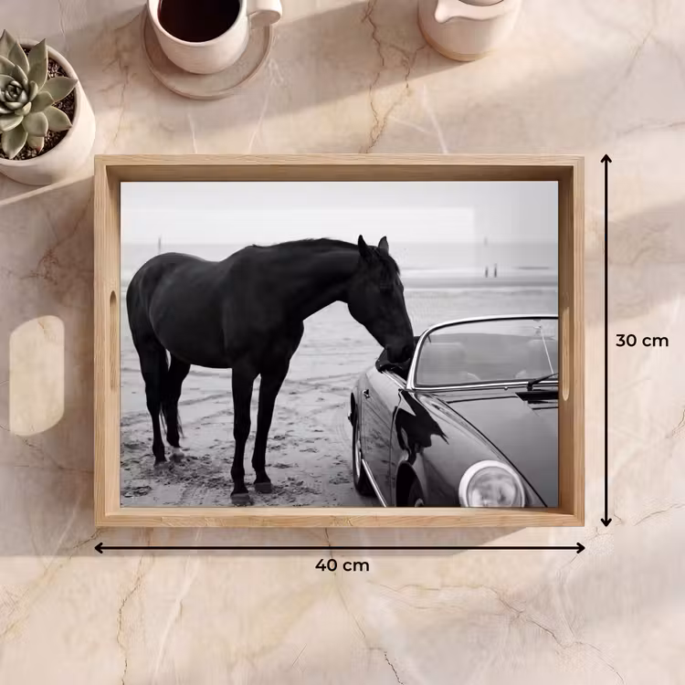 Dienblad - Paard - Auto - Zwart - Wit — 9