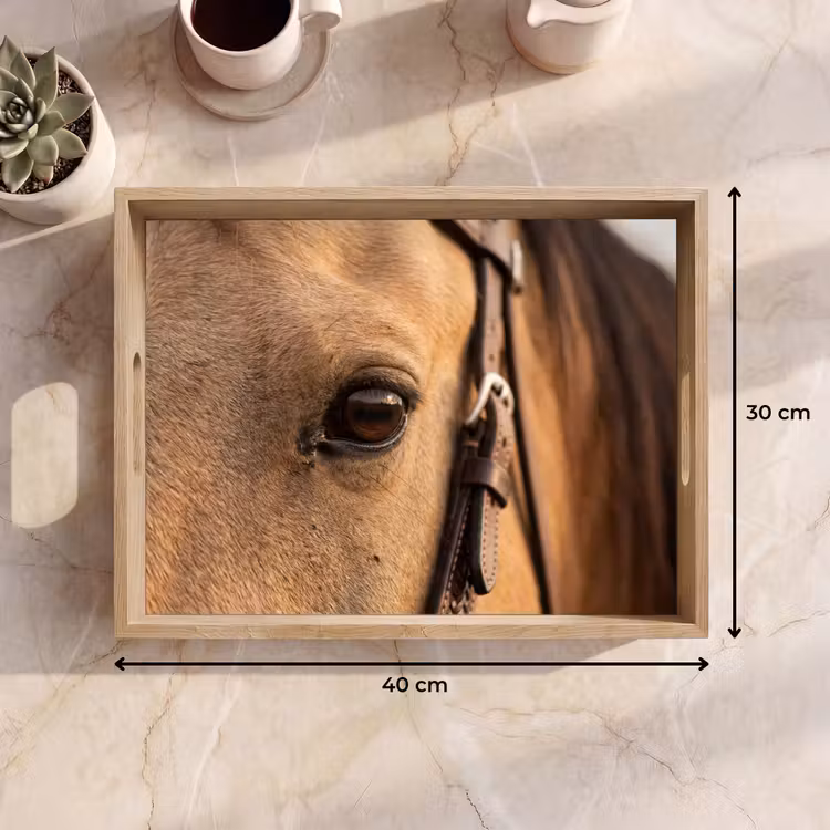 Dienblad - Paard - Oog - Bruin — 9
