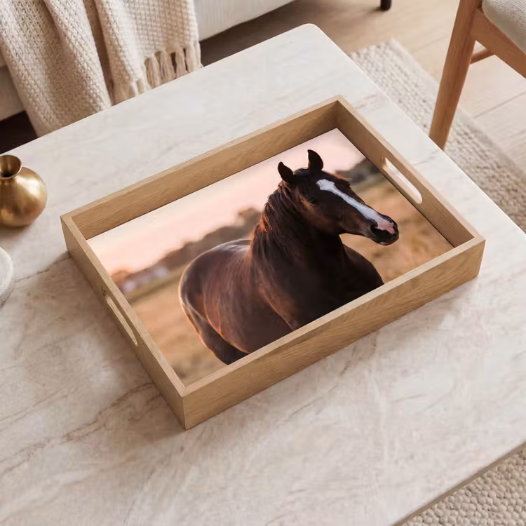 Dienblad - Paard - Zonsondergang - Bruin — 2