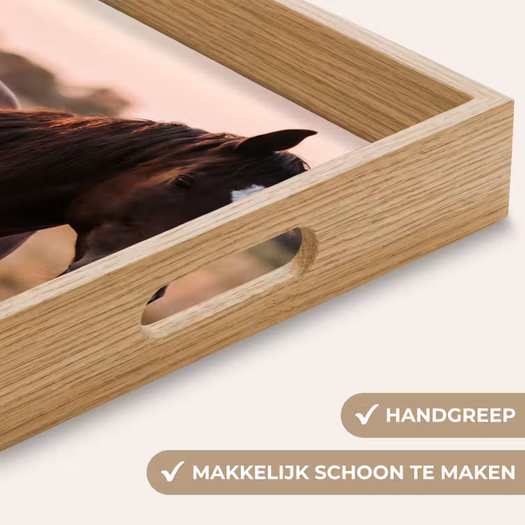 Dienblad - Paard - Zonsondergang - Bruin — 5