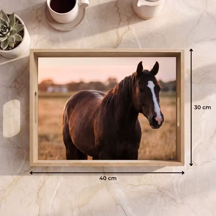 Dienblad - Paard - Zonsondergang - Bruin — 9