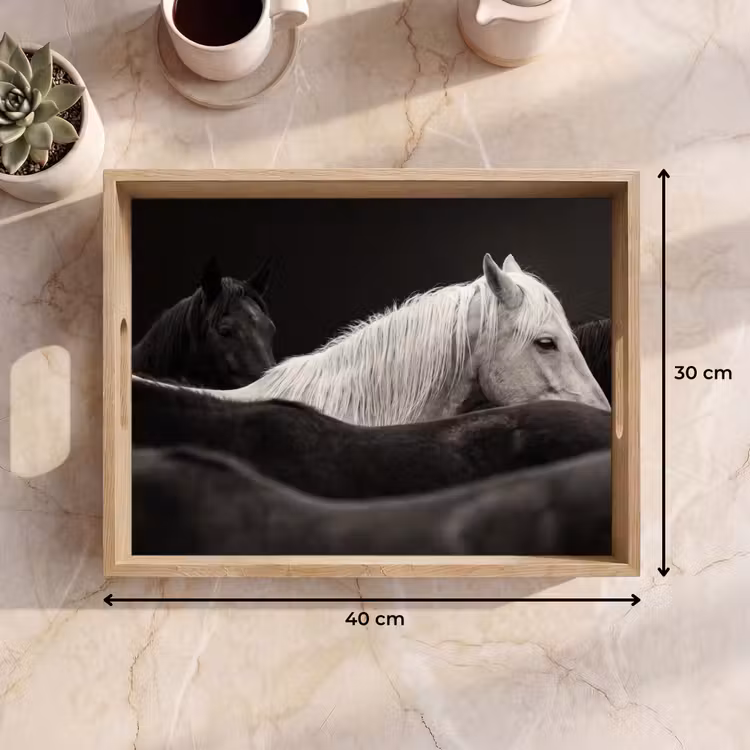 Dienblad - Paarden - Zwart - Wit - Kudde — 9
