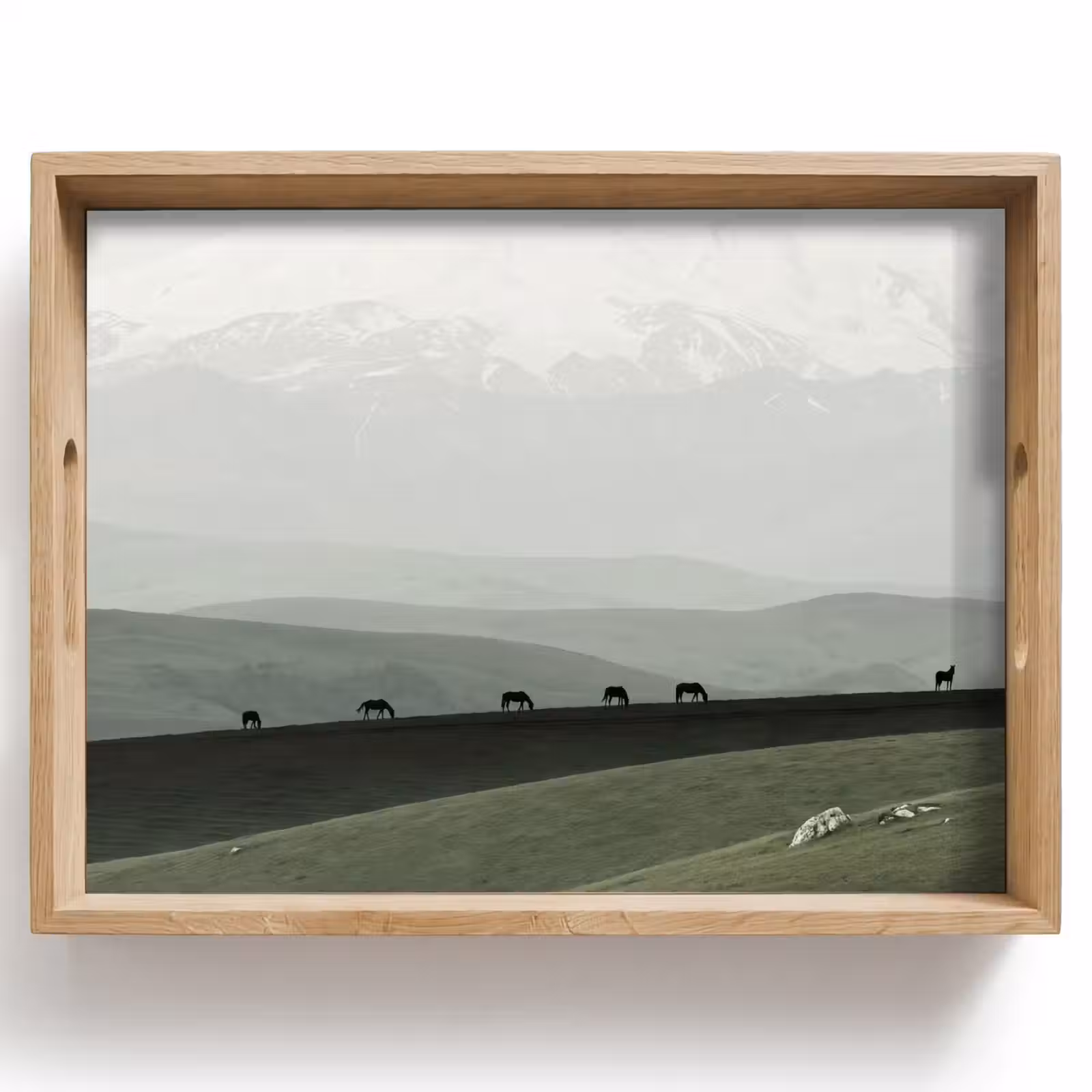 Dienblad - Grijs - Berg - Paarden — 1