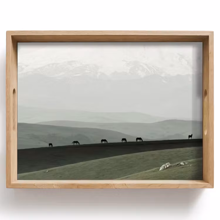 Dienblad - Grijs - Berg - Paarden — 1