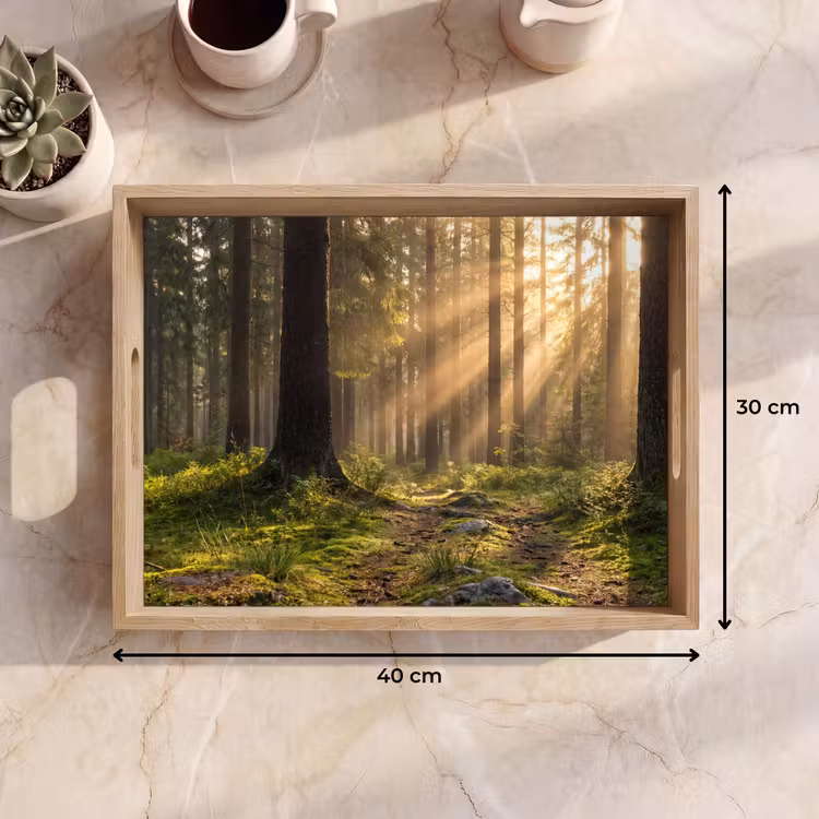 Dienblad - Bos - Zonlicht - Gras — 9